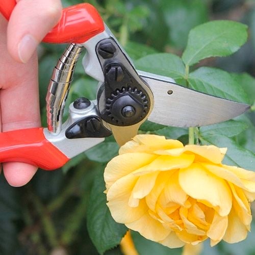 Darlac - Gallery - 9. Darlac Professional Left Hand Pruner - Brand Page