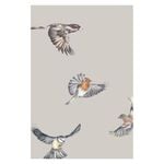 Wallpaper Early Bird Grey