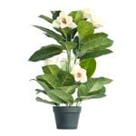 Artificial & Fake Plants