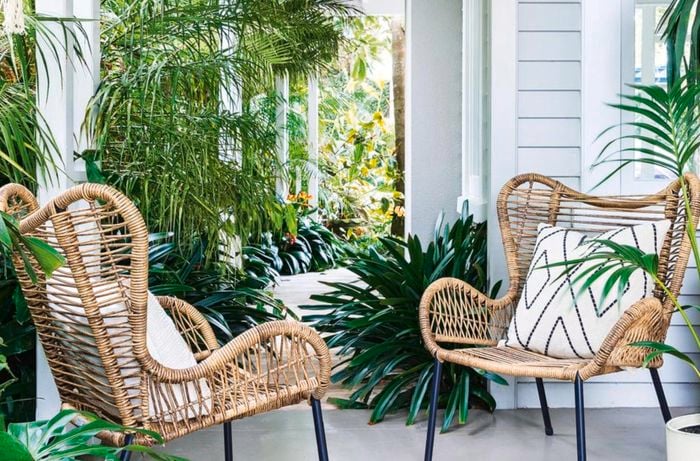 Wicker chairs surrounded by green plants.