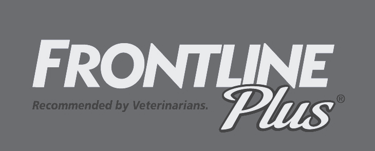 Frontline