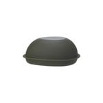 All Set Avocado Shaped Container