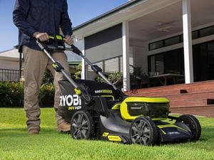 person mowing the lawn