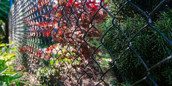Up close shot of a chain link fence surrounded by plants