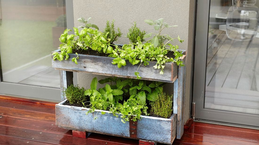 A completed herb planter built from a recycled pallet, containing several herb plants, positioned on a deck outside