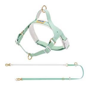 Lolopaws Waterproof PVC Dog Harness & Leash Set Green XS
