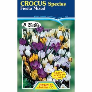 Fiesta Flower Bulbs Crocus Species Mixed - 5 Bulbs