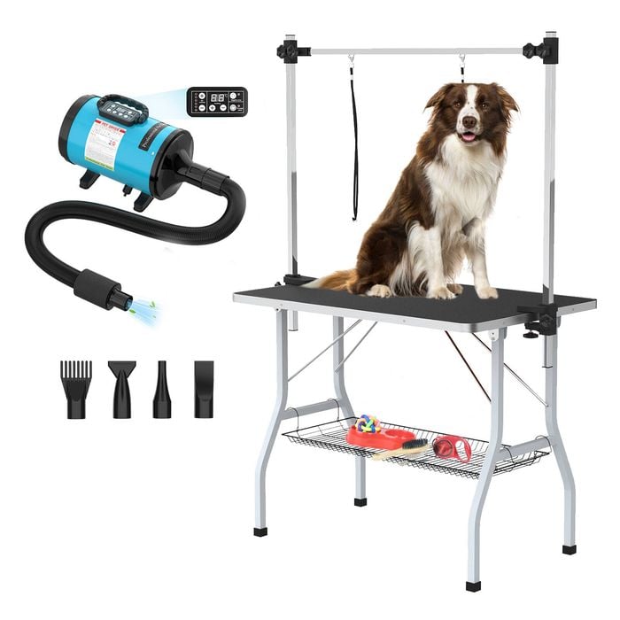 Advwin Pet Grooming Table Dog Cat Salon Table + Pet Hair Dryer LCD Display