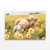Cows Standing With Flowers  Print 100% Australian Made 120 x 90cm  (Stretched)