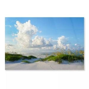 Early Morning Light  Print 100% Australian Made 120 x 90cm  (Acrylic)