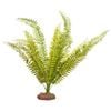 Reptile One Plant Large Fern Green With Ceramic Base
