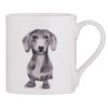 Ashdene Peeking Pups Dachshund Mug