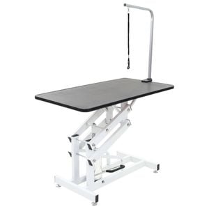 Hydraulic Z-Lift Dog Cat Pet Grooming Table Salon Vet Height Adjustable Loop