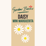 Garden Basics Daisy Mini Marguerita Seeds