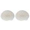 2PK Belle Polyresin Cove White Sea Urchin Sculpture 17x18cm - White