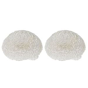 2PK Belle Polyresin Cove White Sea Urchin Sculpture 17x18cm - White