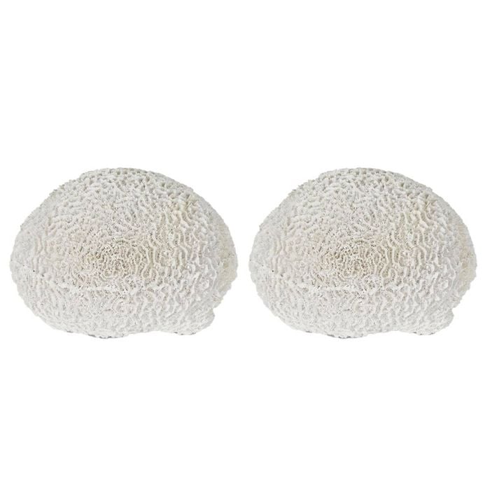 2PK Belle Polyresin Cove White Sea Urchin Sculpture 17x18cm - White