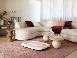 A modern furnished lounge room, with a couch, coffee table, dog bed on a rug on the floor and 2 shelving units next to the wall in it.