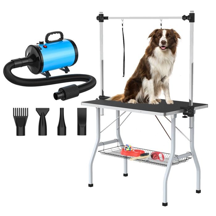 Advwin Pet Grooming Table Dog Cat Salon Table + Pet Hair Dryer