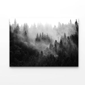 Trees In Mist Black and White  Print 100% Australian Made 90 x 60cm  (Acrylic)