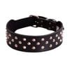 Beau Pets Australia 55cm Staffy/Bull Terrier Pet Collar Stud Black