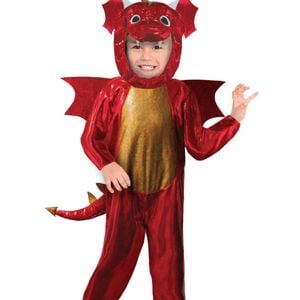 Fire Breathing Red Dragon Boys Costume - 4-6