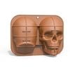 Catzon Halloween Themed Ice Cube Trays Great for Chocolate Cake-Coffee