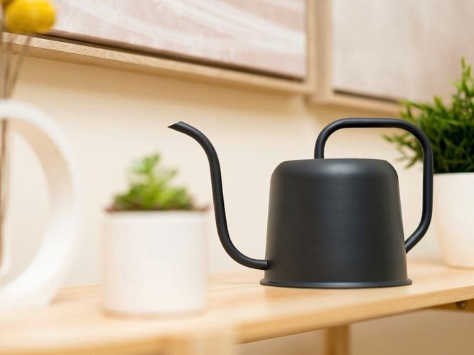 Green watering can in shot