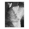 Artey | From Above 7 - Stretched Canvas - Stretched Canvas - 45 x 60cm