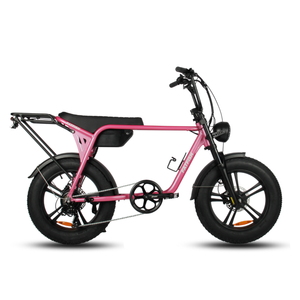 Fatfish Biggie 20AH Fat Tyre E-Bike Pink