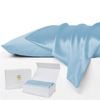 Luxor Crown SKY BLUE Set of 2 Mulberry Silk Pillowcases