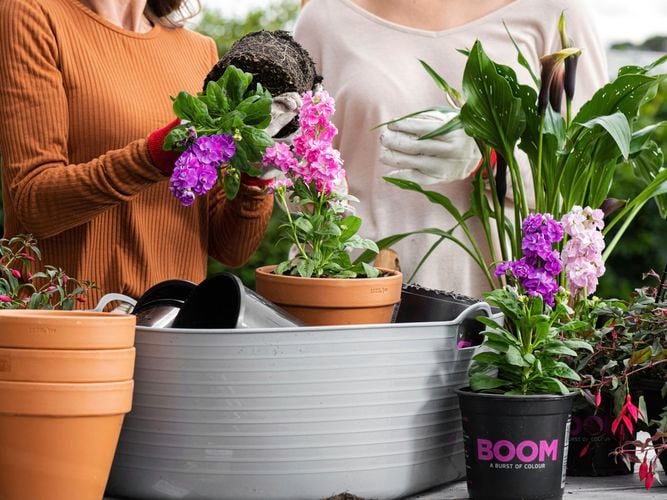 ladies planting assorted plants in silver pot