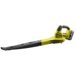Cordless Blower Vac & Leaf Blowers