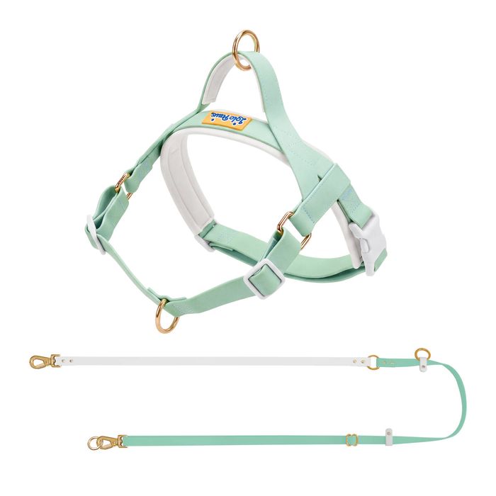 Lolopaws Waterproof PVC Dog Harness & Leash Set Green L
