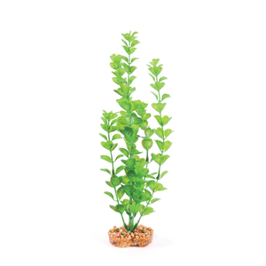 Kazoo Plastic Plant - Medium Leaf Green Medium (19532)