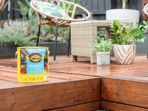 freshly coated deck with pot plants