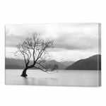 That Wanaka Tree | 120 x 80cm Stretched Canvas Print