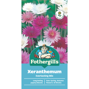 Fothergill's Xeranthemum Strawflower Flower Seed