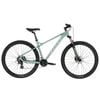 Haro Double Peak 29" Trail MTB Bike - Sage / Black - Large