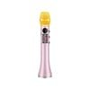 SingMasters SM30 Handheld Portable CarPool Bluetooth Karaoke Wireless Microphone Speaker,Rechargeable,Recording