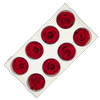Blooms Of Joy 5cm Red Rose 8 pack