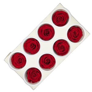 Blooms Of Joy 5cm Red Rose 8 pack