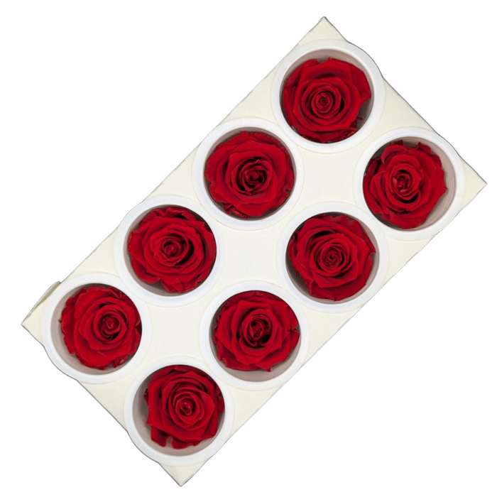 Blooms Of Joy 5cm Red Rose 8 pack