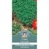 Mr Fothergill's Fine Curled Cress Vegetable Seed