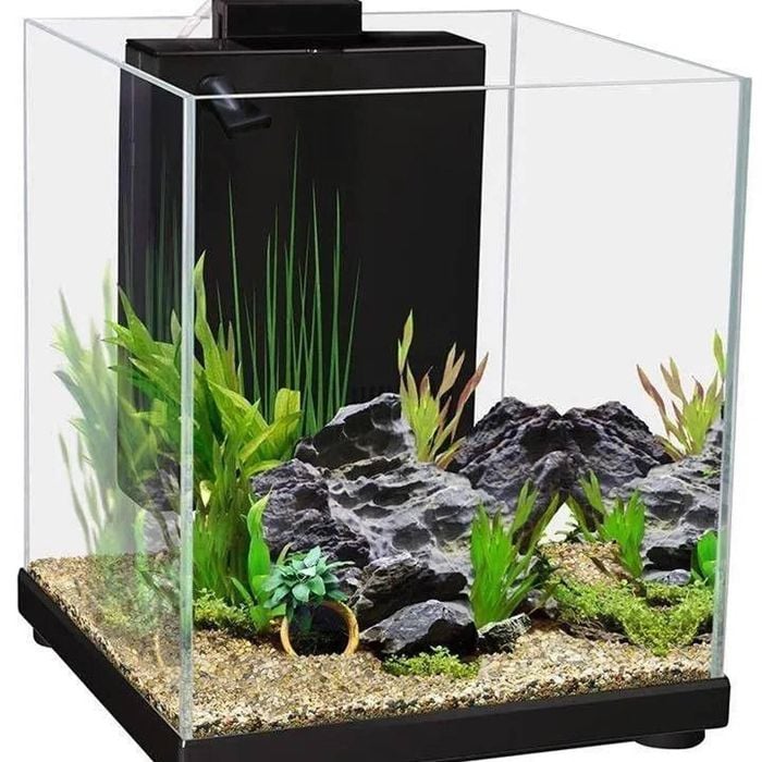 Aqua One Betta Fighter Fish Sanctuary Black