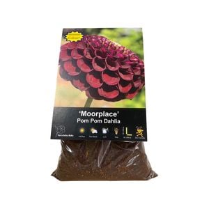 Yarra Valley Bulbs Dahlia Moorplace - 1 Pack