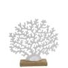 Maine & Crawford 7 Seas Metal/Wood 30x29cm Fan Coral - White