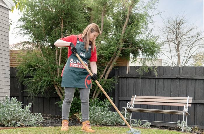 A person raking a lawn