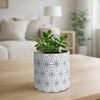 EDEN 11.5cm Grey Geo Indoor Concrete Planter 