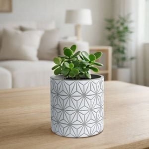 EDEN 11.5cm Grey Geo Indoor Concrete Planter 
